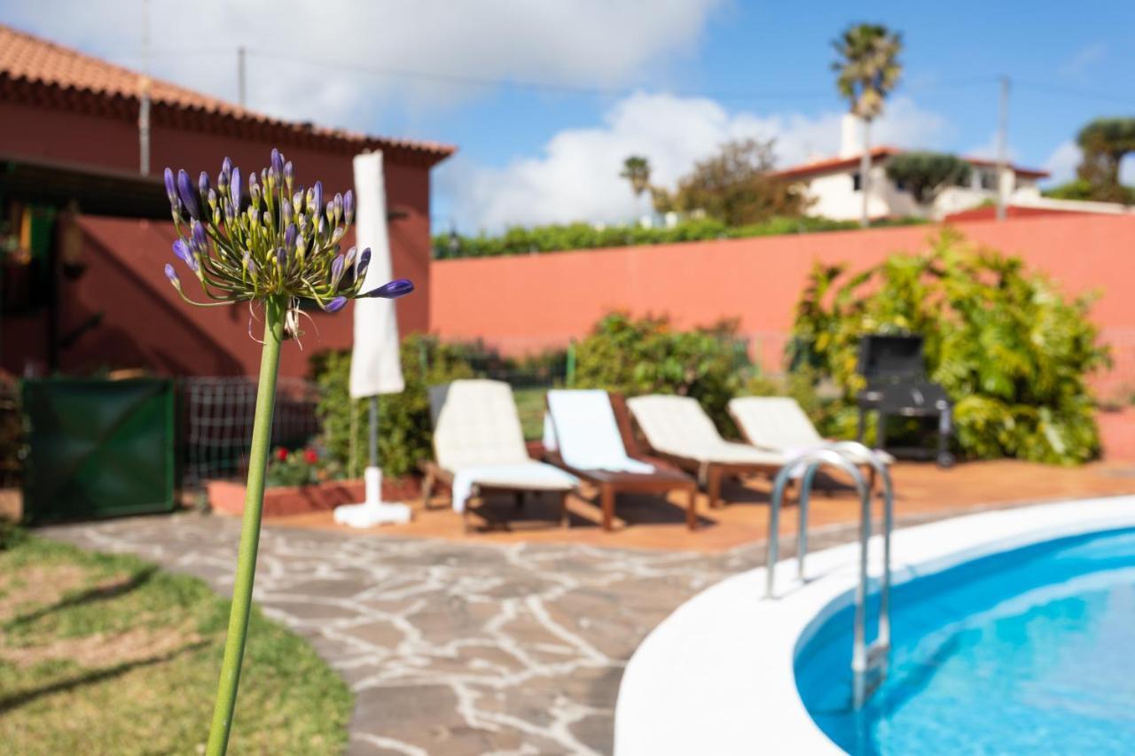 לה לגונה Home2Book Luxury Villa Luna De Tacoronte Pool מראה חיצוני תמונה