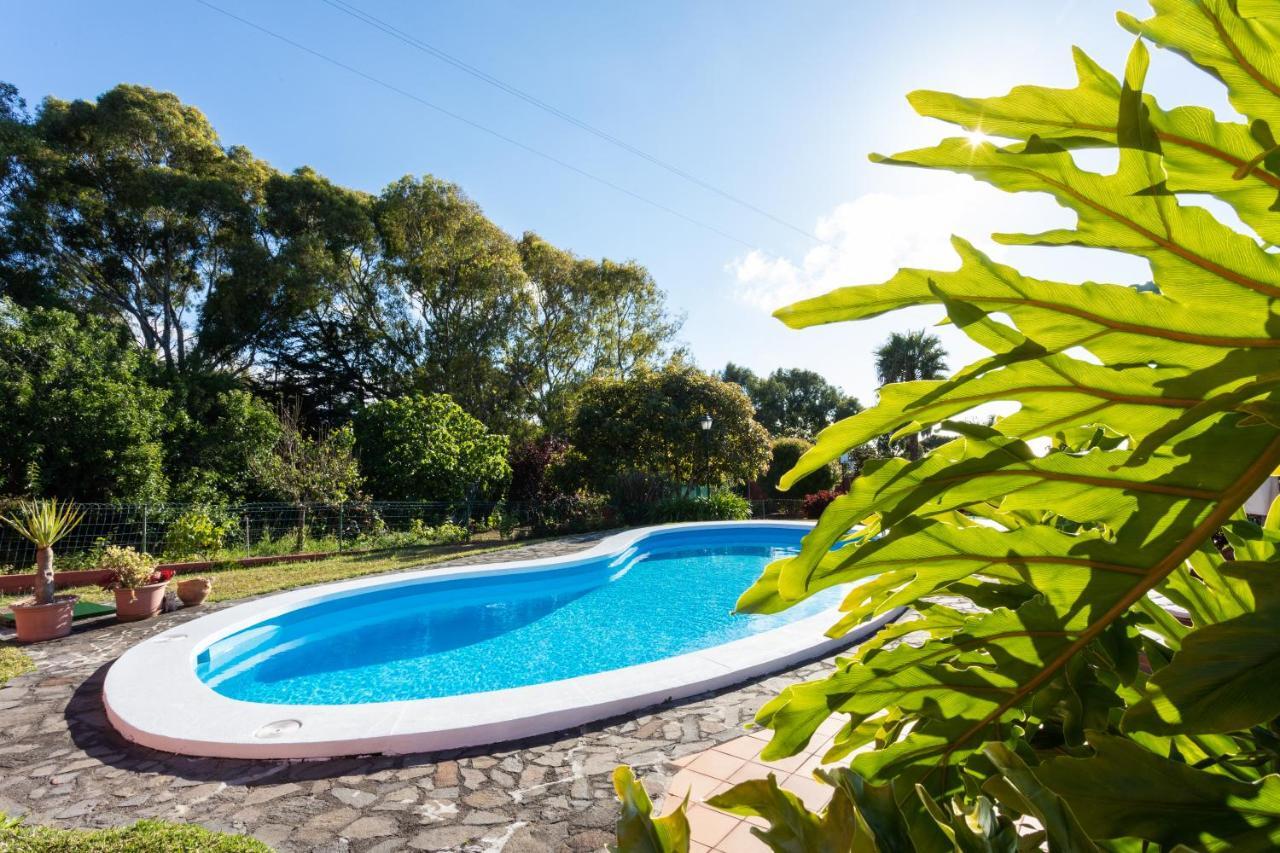 לה לגונה Home2Book Luxury Villa Luna De Tacoronte Pool מראה חיצוני תמונה